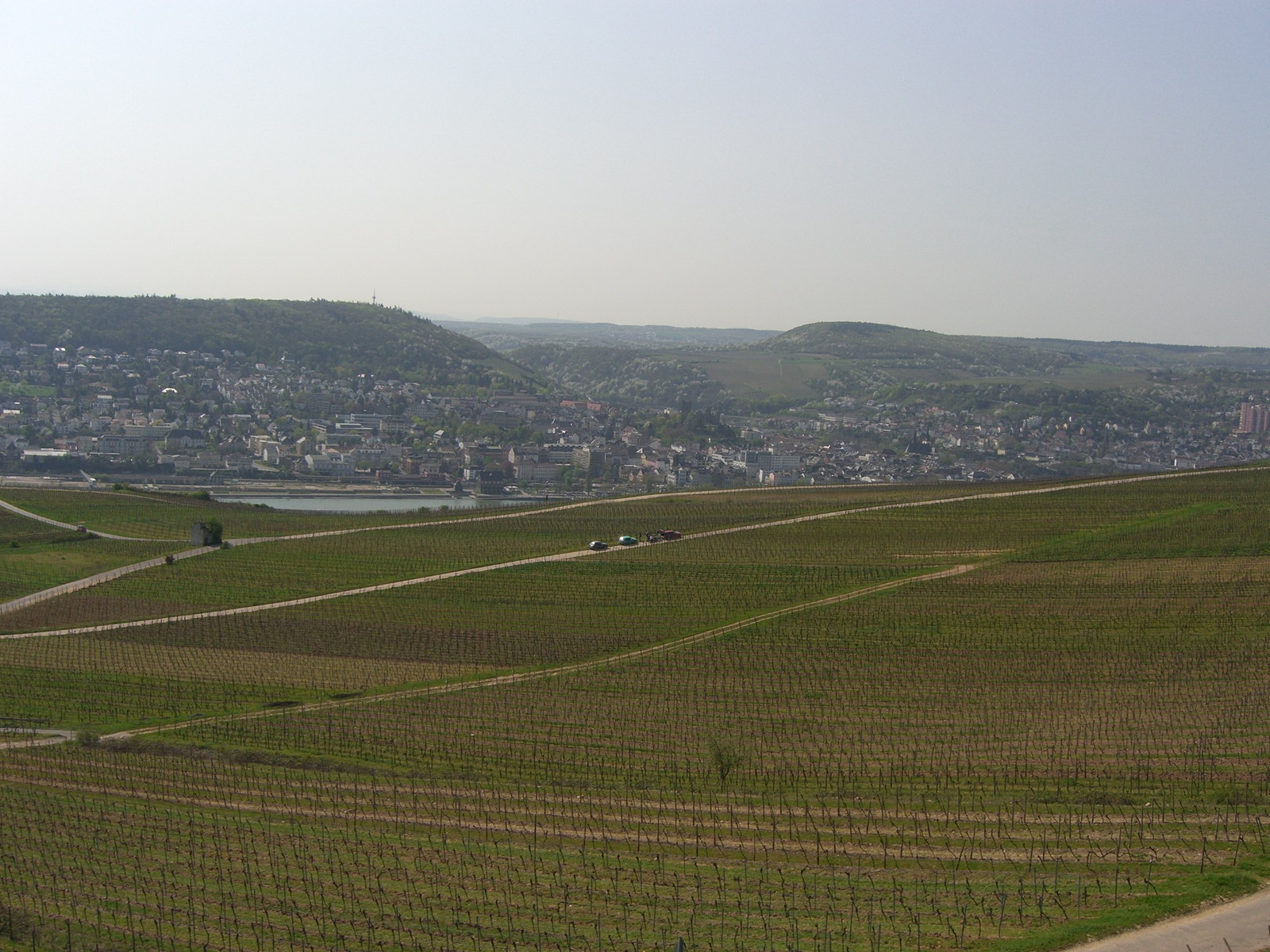 Ruedesheim